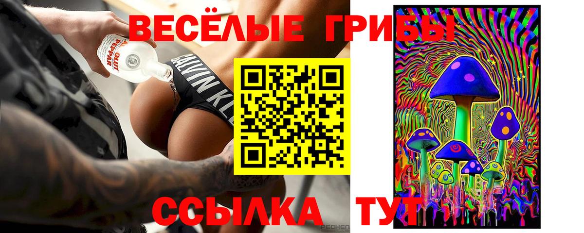 Пенза  Псилоцибиновые грибы GOLDEN TEACHER  Вход с VPN 